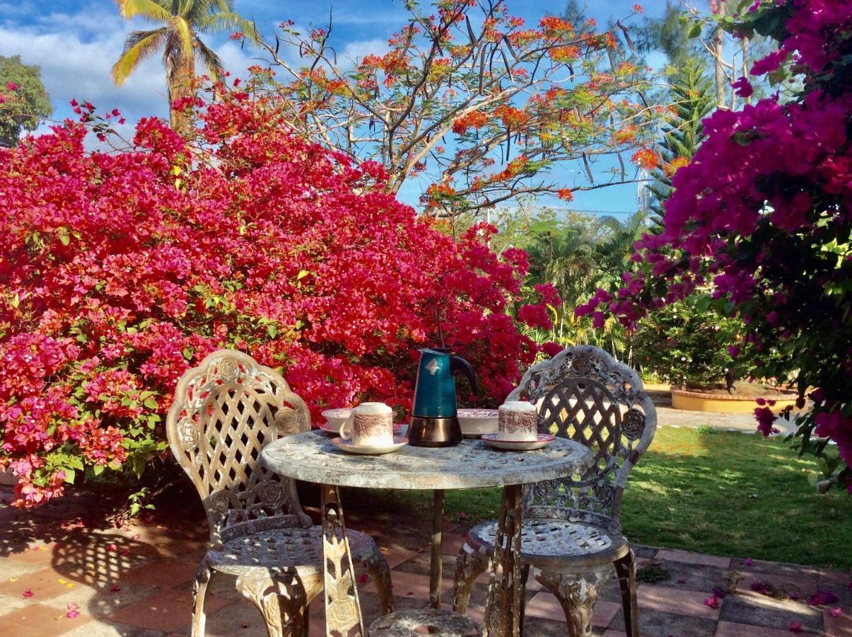 Cafegourmetptacorona San Carlos Bagian luar foto